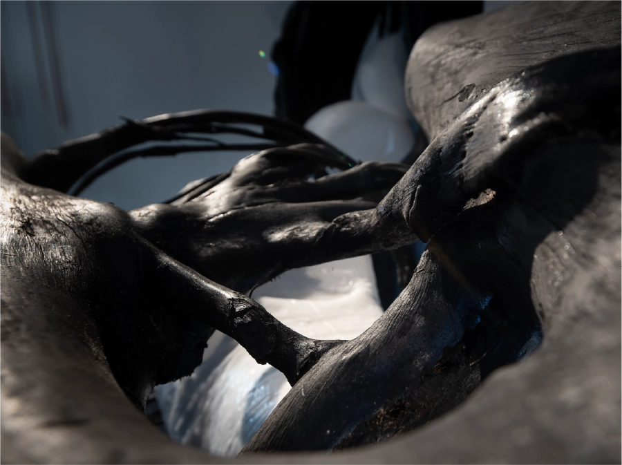 Bild_7