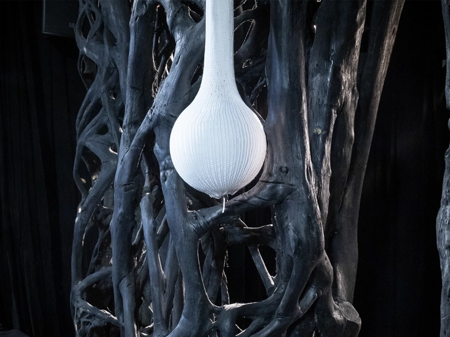 Bild_8